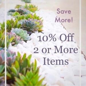 ❤️❤️❤️❤️❤️